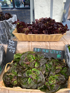 Campbell Farmers' Market--lettuce