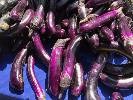 Campbell Farmers' Market-eggplant